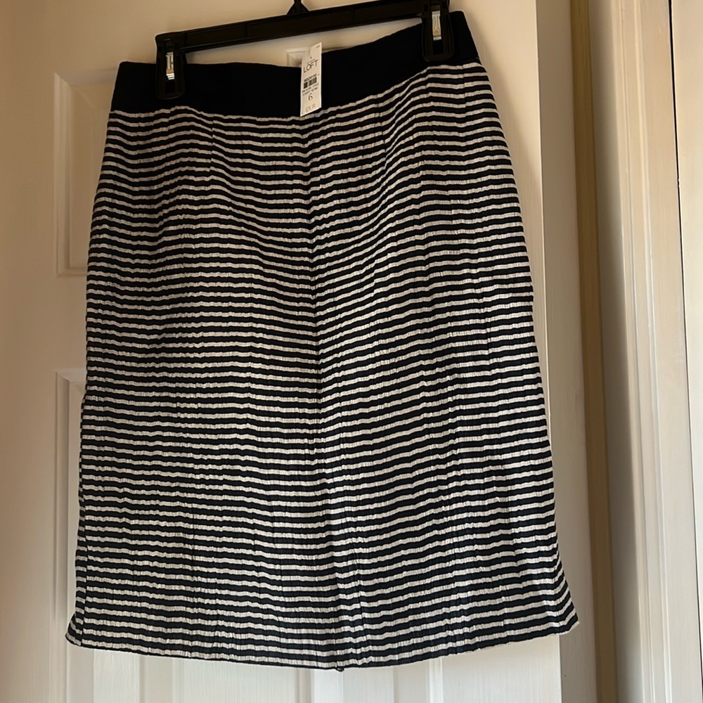 Ladies skirt